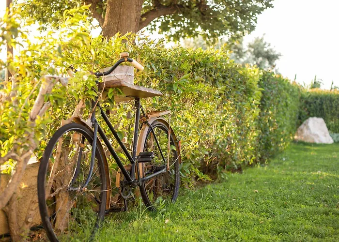 度假居 Old Nest House