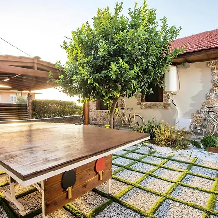Old Nest House *