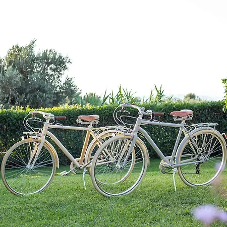 Prázdninový dům Old Nest House