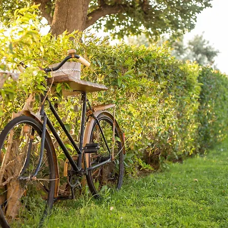 Prázdninový dům Old Nest House
