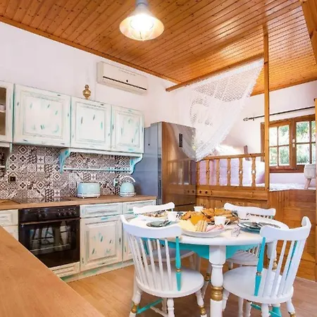 Old Nest House * Salakos