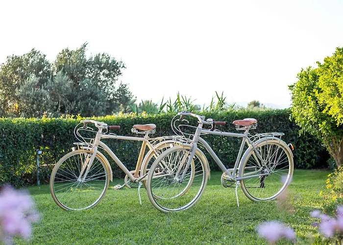 Feriehus Old Nest House